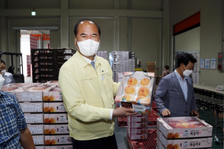 [유통마케팅과]상주 복숭아 올해 첫 말레이시아 수출(복숭아를 보여주는 강영석 상주시장).JPG