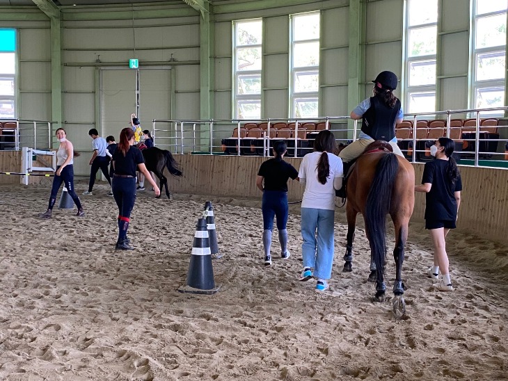 1. 말과함께 건강하고 신나는 가족 힐링 02 (영천 운주산승마자연휴양림에서 경북교육청 재활승마 가족캠프를 운영하고 있다).jpg