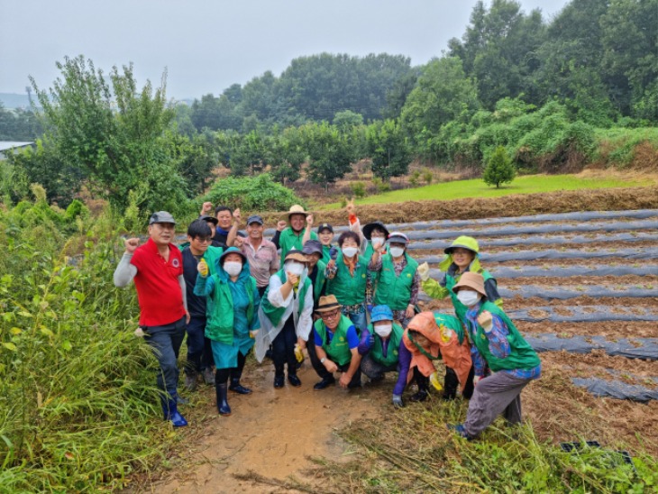 계림동 배추심기 (1).jpeg