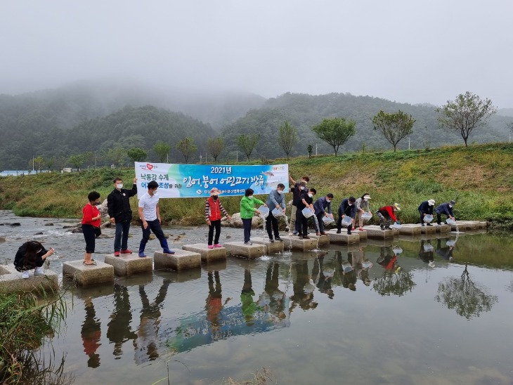 (6-1) 경북도_치어_방류 (2).jpg