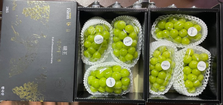 (유통마케팅과)능금농협 상주지점 샤인머스캣 중국 첫 수출-2.jpg
