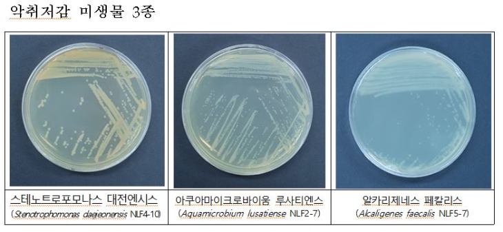 악취저감 미생물 3종.JPG