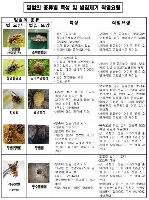 경북농기원, 말벌의 종류별 특성 및 벌집제거 작업요령.jpg